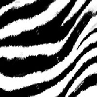 Zebra-Print